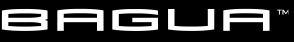 BAGUA